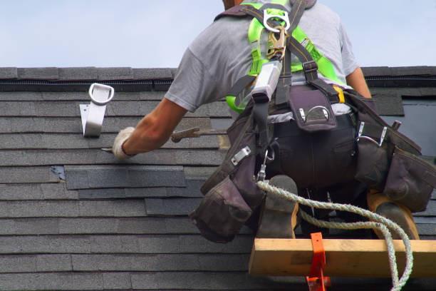 Best Roof Gutter Cleaning  in Shelbyville, KY