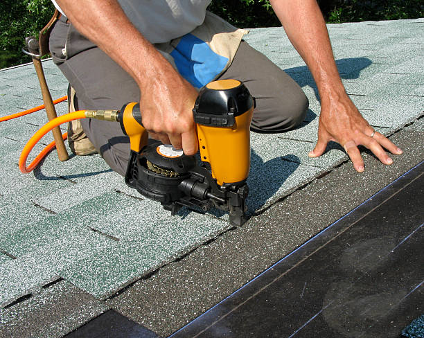 Best Storm Damage Roof Repair  in Shelbyville, KY