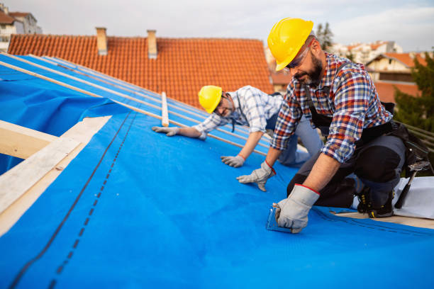Best Metal Roofing Contractor  in Shelbyville, KY